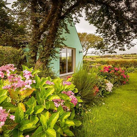 クロナキルティThe Wild Atlantic Hideawayアパートメント エクステリア 写真