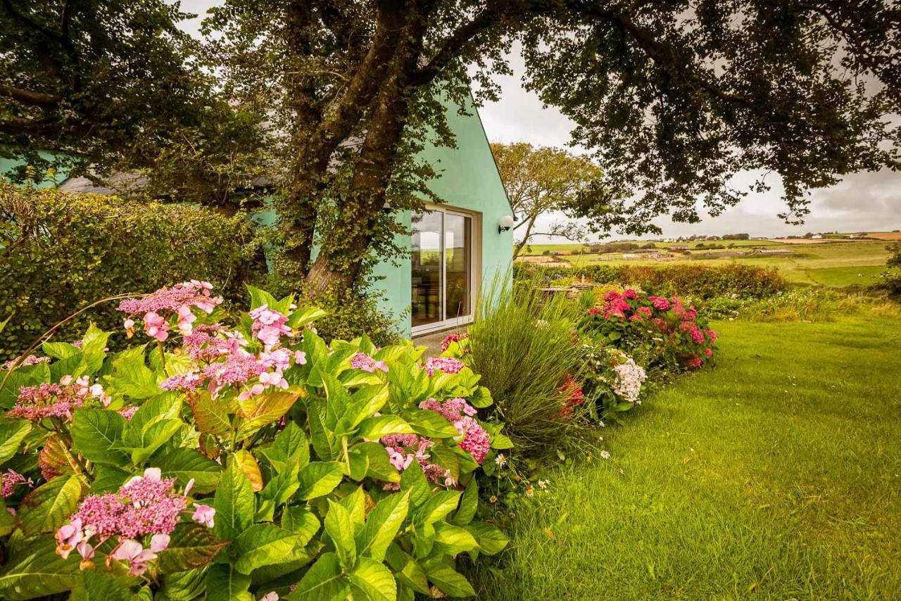 クロナキルティThe Wild Atlantic Hideawayアパートメント エクステリア 写真