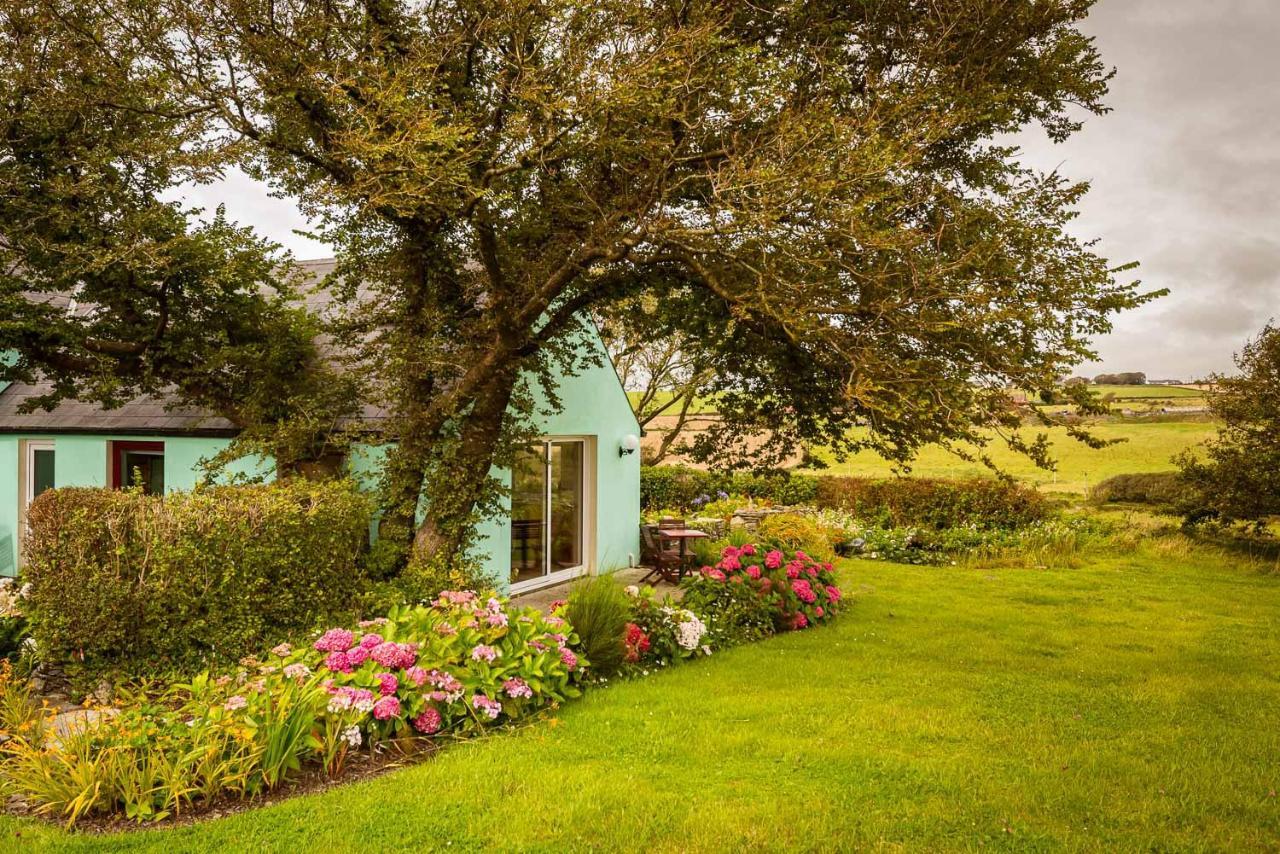 クロナキルティThe Wild Atlantic Hideawayアパートメント エクステリア 写真